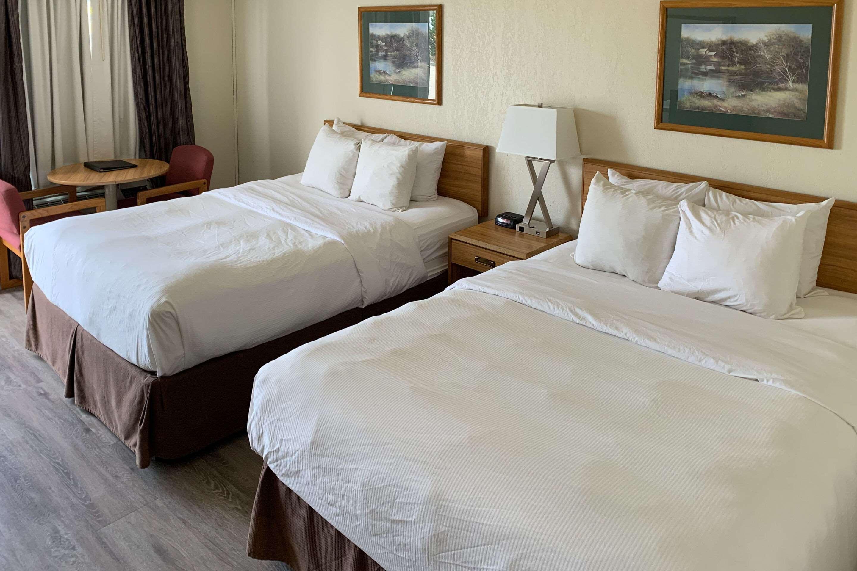 סיינט אגוסטין Rodeway Inn St Augustine Historic District מראה חיצוני תמונה