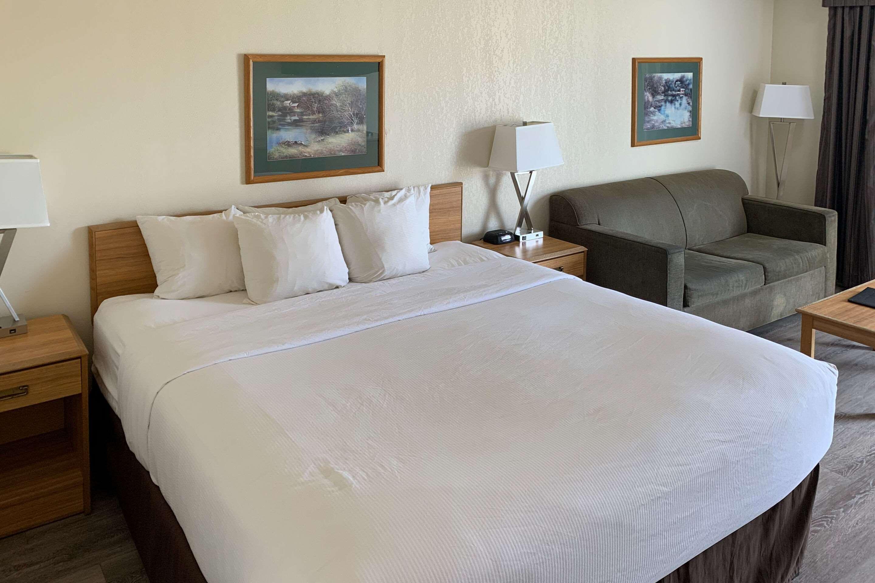 סיינט אגוסטין Rodeway Inn St Augustine Historic District מראה חיצוני תמונה
